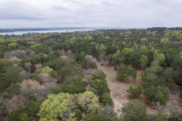 3719 PINE WOOD WAY (NORTH 10.625 ACRES), LARUE, TX 75770, photo 5 of 7