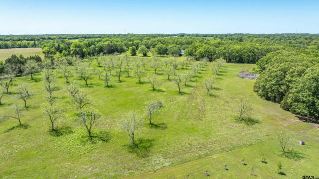 TBD CR 1580, ALBA, TX 75410, photo 3 of 9