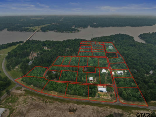 LOT R9 BIG PINE ESTATES, SCROGGINS, TX 75480 - Image 1