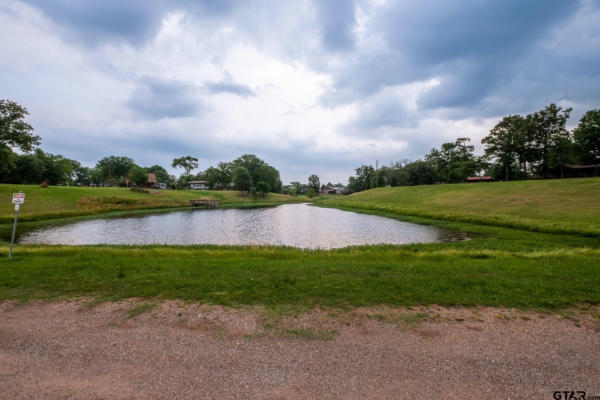 LOT 261 SECTION BROKEN BOW, QUITMAN, TX 75783, photo 3 of 13