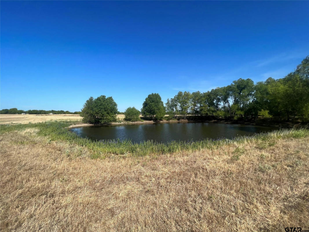 LOT 3 - 10AC COUNTY ROAD 4330, POINT, TX 75472, photo 1 of 11