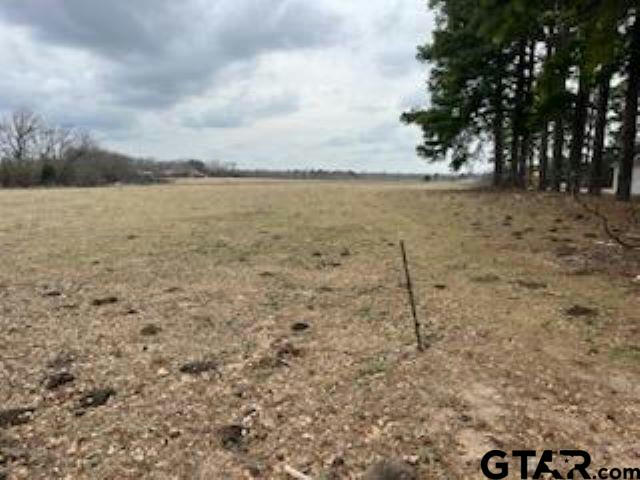 LOT 1 CR 414, TYLER, TX 75704, photo 1 of 4