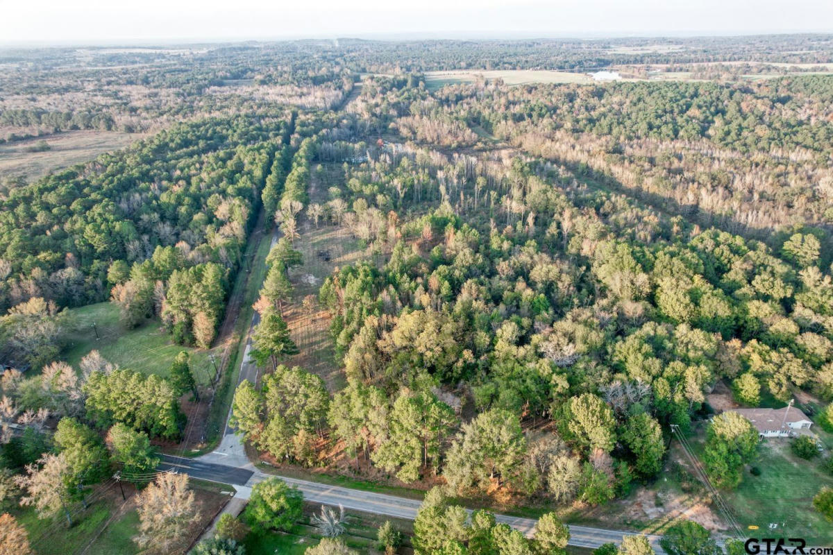 LOT 2 - TBD NE CR 363, WINONA, TX 75792, photo 1 of 11