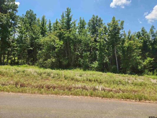 TBD RIDGELINE LOOP, LOT 61, WINONA, TX 75792, photo 3 of 4