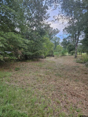 TBD W LAKEVIEW DR LOT 135, TROUP, TX 75789, photo 3 of 11