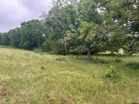 LOT 2 5.5ACRES COUNTY ROAD 2166, TROUP, TX 75789, photo 5 of 6
