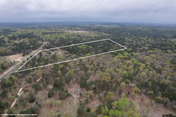 3719 PINE WOOD WAY (NORTH 10.625 ACRES), LARUE, TX 75770, photo 2 of 7