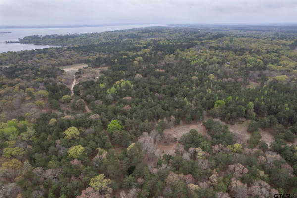 3719 PINE WOOD WAY (NORTH 10.625 ACRES), LARUE, TX 75770, photo 4 of 7