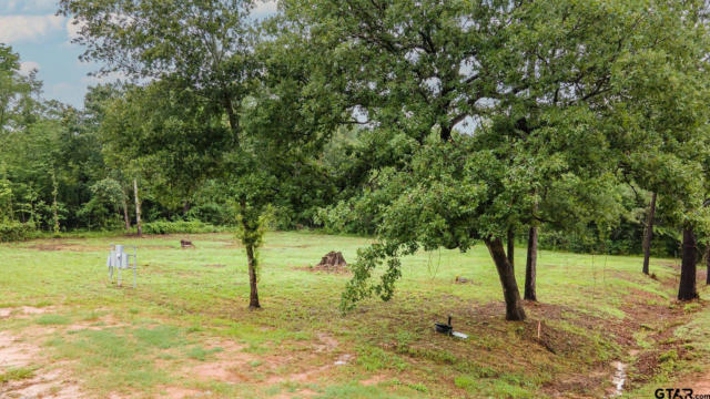 LOT 50 PRIVATE ROAD 7011, FRANKSTON, TX 75763, photo 2 of 14