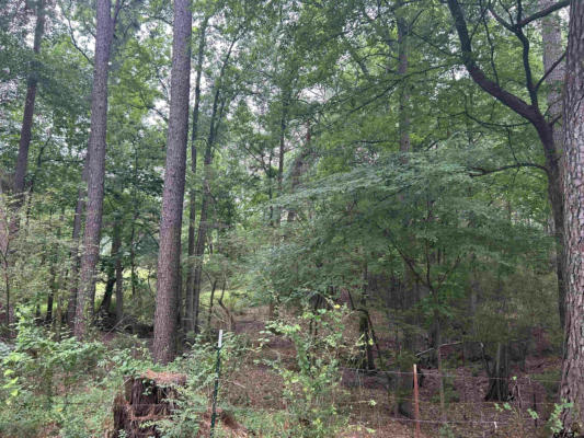 LOT 1 5+ ACRES FM 15, TROUP, TX 75789, photo 5 of 6