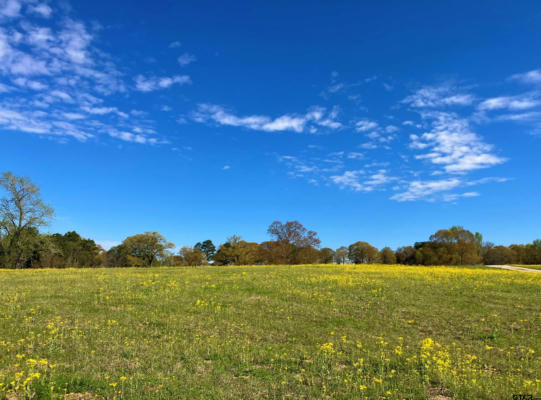 LOT 49 WHITE OAK CREEK RANCH, BIG SANDY, TX 75755, photo 3 of 13