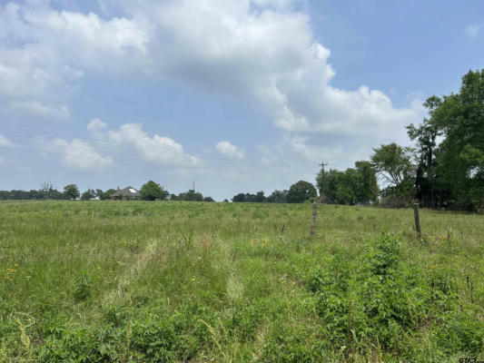 LOT 3 5 ACRES COUNTY ROAD 2166, TROUP, TX 75789, photo 3 of 3