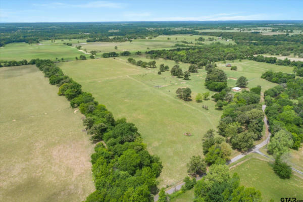 20+/- ACRES VZ COUNTY ROAD 4412, BEN WHEELER, TX 75754, photo 4 of 13