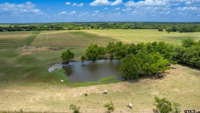 LOT 3 - 10AC COUNTY ROAD 4330, POINT, TX 75472, photo 5 of 27